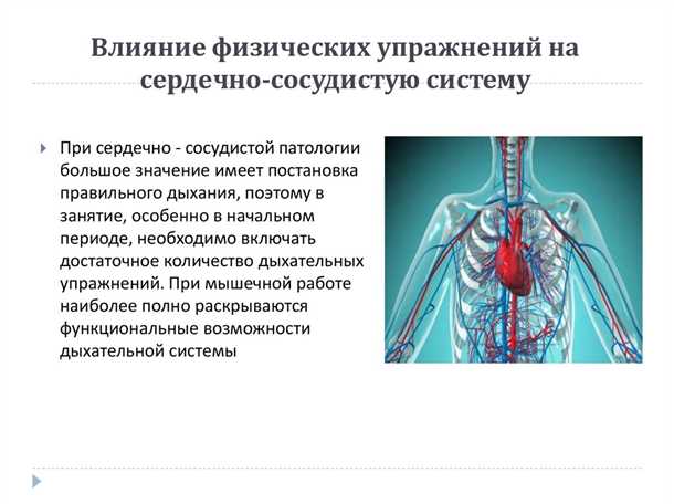Двигательные расстройства и автономные функции: влияние на сердечно-сосудистую и дыхательную системы.
