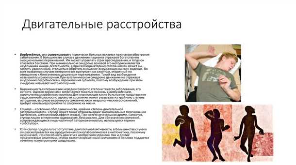 Особенности использования средств передвижения для людей с ограничениями движения в разных сферах жизни
