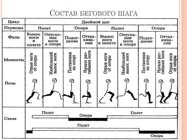 Двигательные расстройства и средства передвижения: выбор и использование в повседневной жизни.