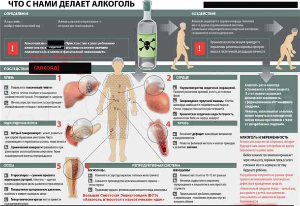 6. Рекомендации по употреблению алкоголя для пациентов с эпилепсией