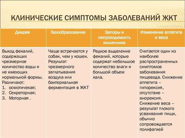 Эпилепсия и гастроэнтерологические заболевания: взаимосвязь и лечение сопутствующих заболеваний желудочно-кишечного тракта.