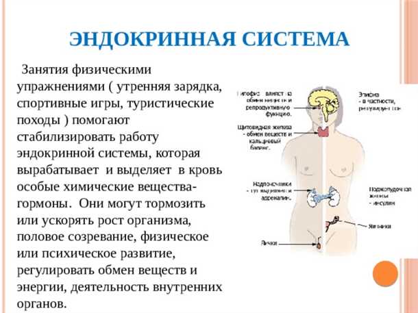 Влияние эпилепсии на уровень тестостерона