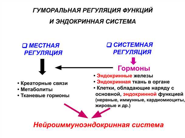 2. Влияние на репродуктивную систему