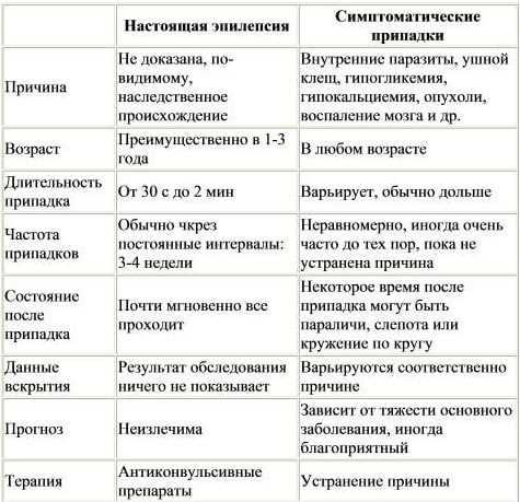 Особенности диагностики эпилепсии при присутствии соматических состояний
