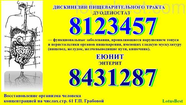 Что такое еюнит?