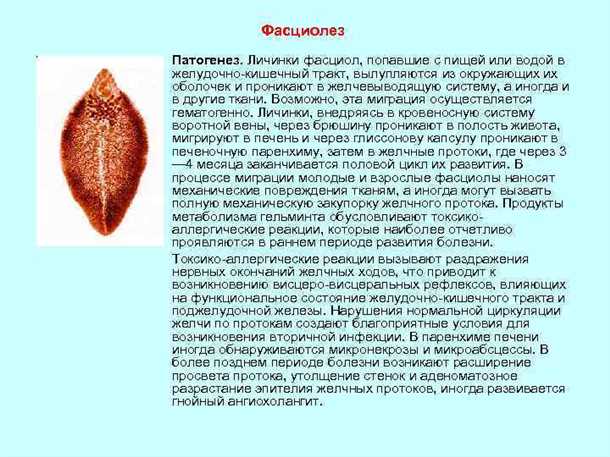 Влияние Фасциолеза на организм человека