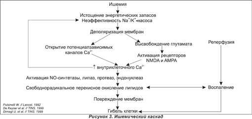 2. Нарушение целостности сосудов и образование кровоизлияний