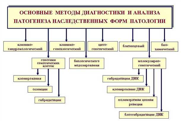 Информация о наследственных заболеваниях и их возможные последствия