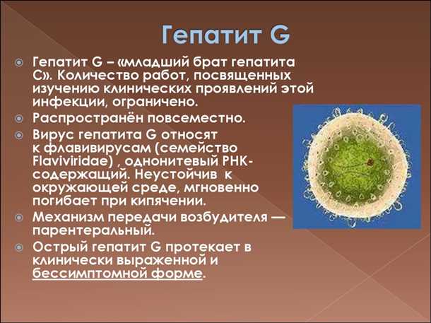 Гепатит g