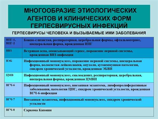 2. Герпесвирус 6-го типа