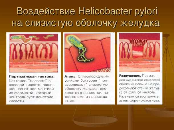 3. Избегайте непроверенных источников пищи и воды