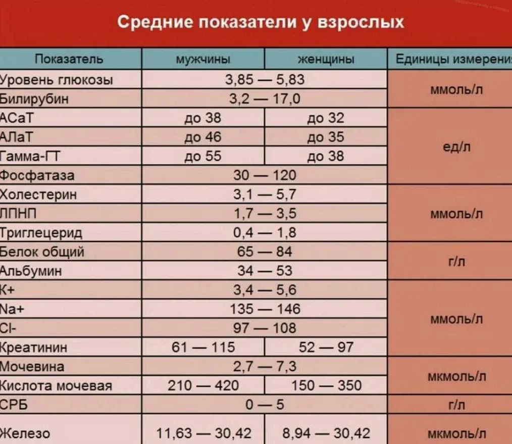 Дополнительные исследования
