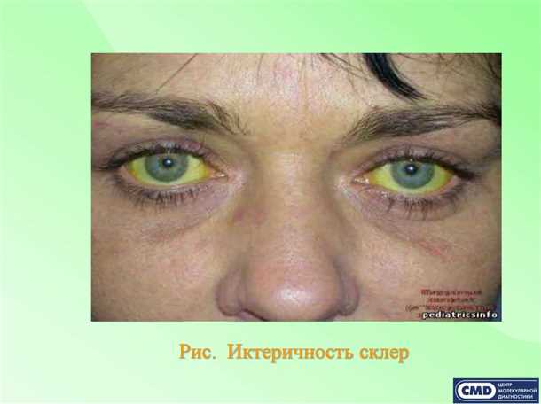 Физическая активность