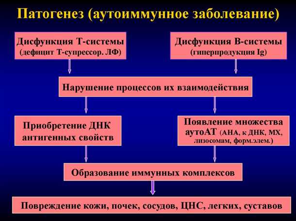Взаимодействие иммунной системы и нервной ткани в развитии дегенеративных заболеваний