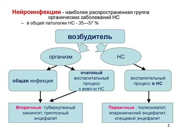 Роль инфекции в возникновении болезни Альцгеймера и других деменций