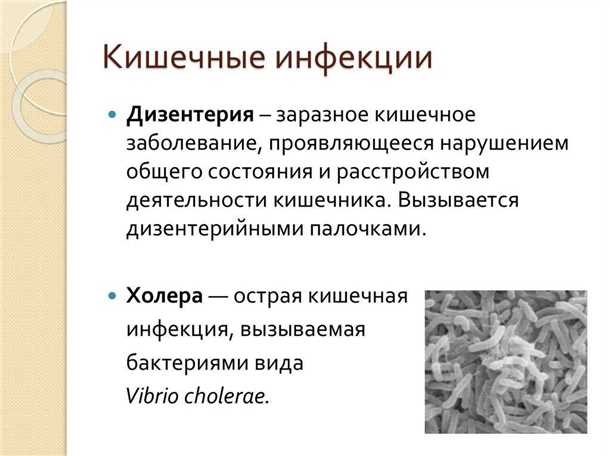 Виды пищеварительных паразитов:
