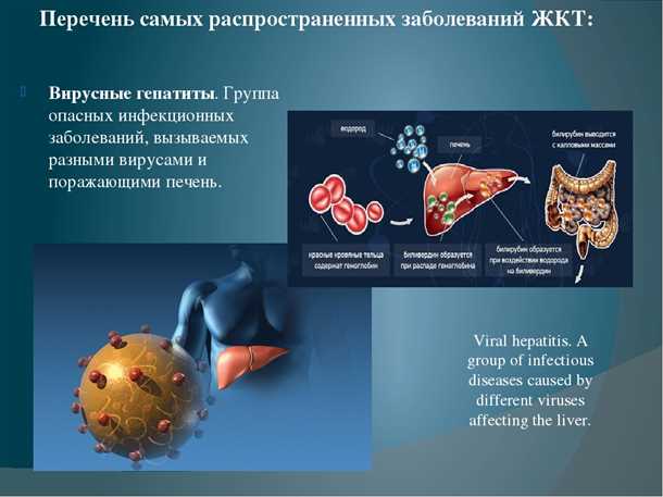 Инфекционные заболевания кишечника: симптомы и список заболеваний