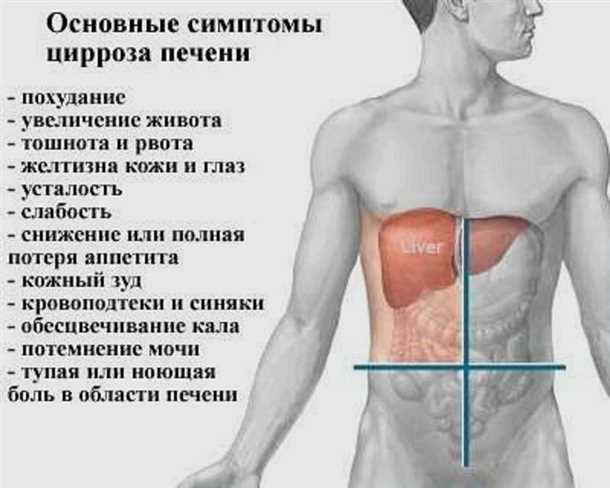 Интервью. болит печень