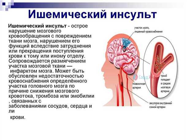 Правильное питание и физическая активность