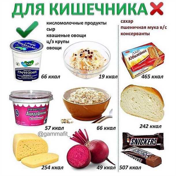 Основные принципы питания