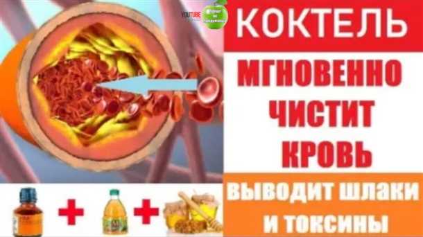 Питание для очищения крови