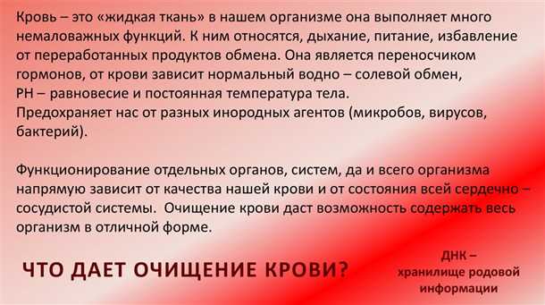 2. Йога и растяжка