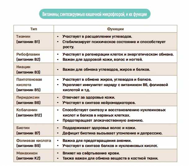 Какие витамины синтезируются микрофлорой кишечника?