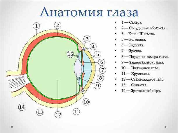 Процесс образования изображения
