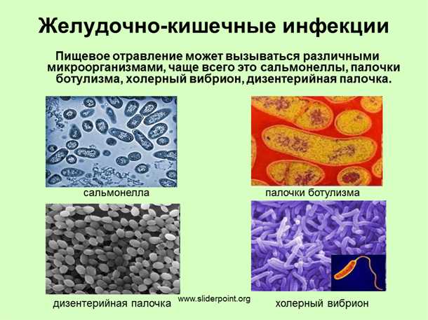 Распространение кишечных инфекций