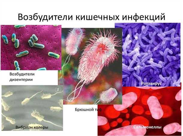 Кишечные инфекции: список возбудителей, симптомы и методы лечения