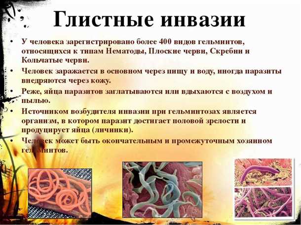 Гименолепидидоз: виды и методы лечения