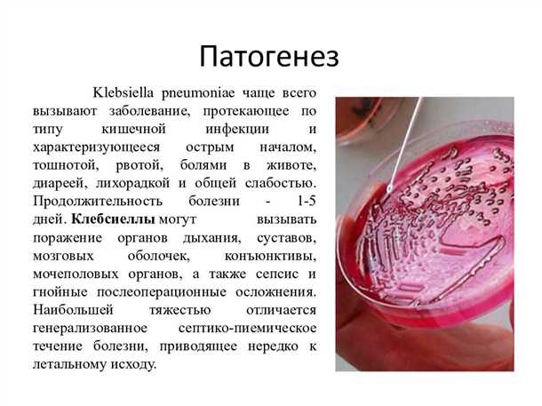 1. Соблюдение гигиены рук
