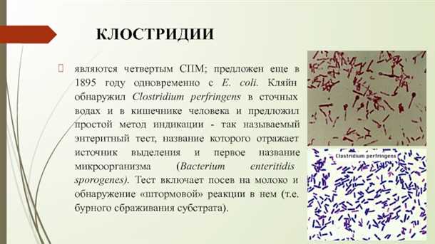 1. Соблюдайте гигиену рук