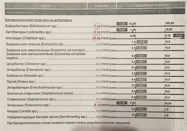 Клостридии в кале: норма или сигнал тревоги?