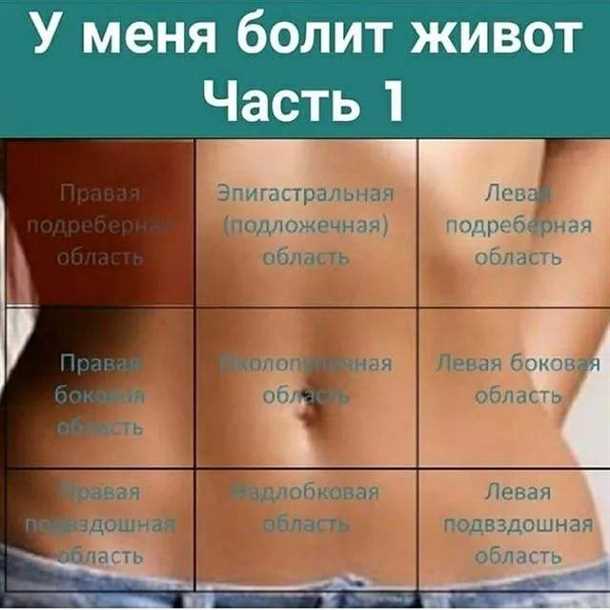 Ограничьте потребление жирных продуктов