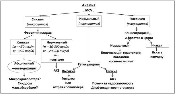 Основные подходы к лечению приступов при недостатке кислорода и анемии