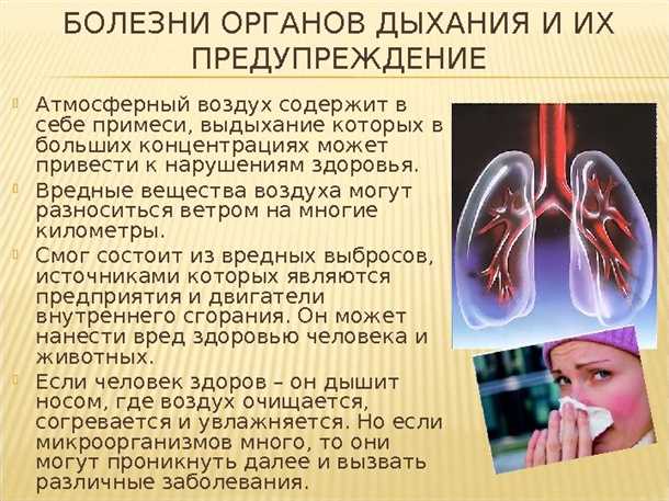 Подходы к лечению конвульсивных состояний: фармакологические и нетрадиционные методы