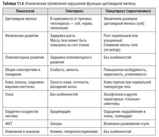 Связь между конвульсивными состояниями и щитовидной железой: понимание и причины