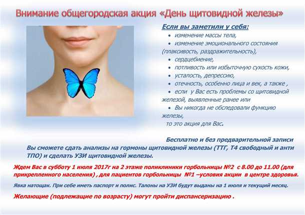 Роль щитовидной железы в функционировании организма