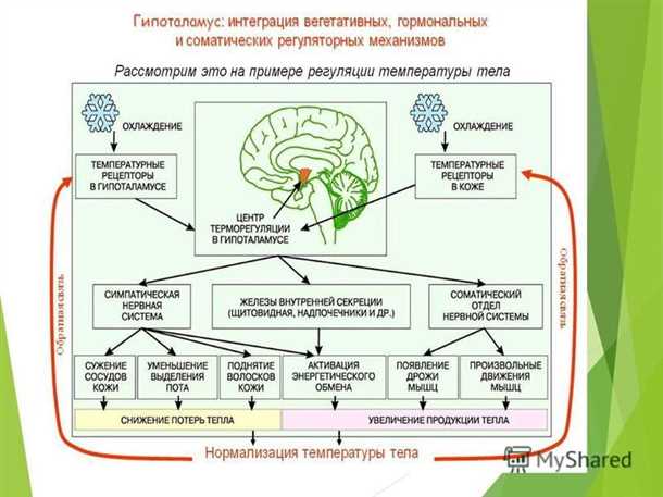 Травмы головы
