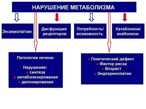 Связь между нарушениями обмена аминокислот и эпилептическими состояниями