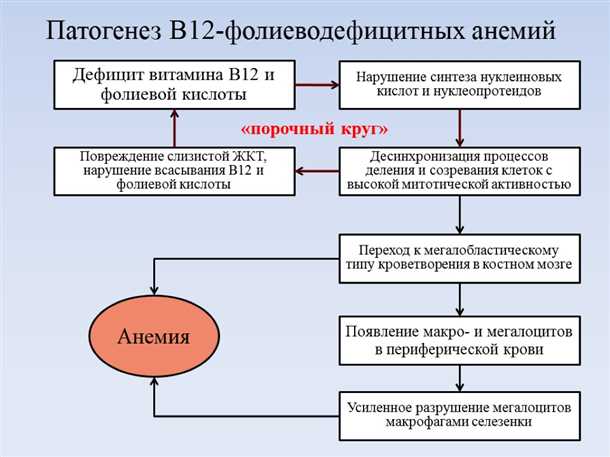 Методы диагностики симптомов и признаков витаминной недостаточности