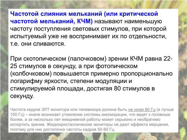 Процедура обследования: