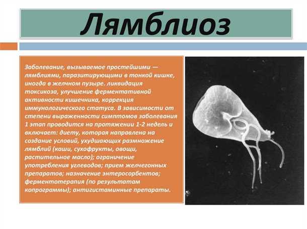 Фармакологическое лечение