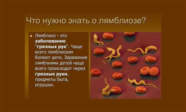 Распространение лямблиоза и его последствия