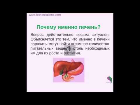 1. Фекально-оральный путь передачи