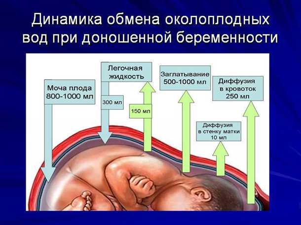 1. Задержка дыхательных движений плода