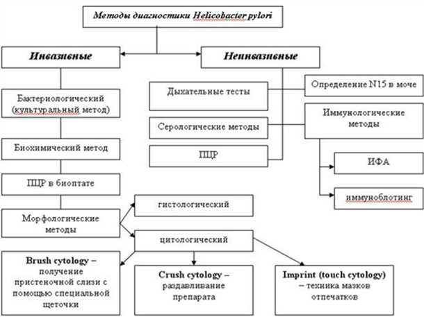 Гистологические методы определения Helicobacter pylori