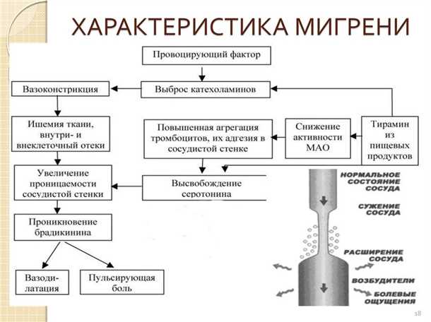 Влияние сосудистых факторов на тревожные симптомы