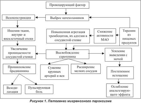Мигрень и сосудистые факторы: патогенез и клиническое значение.